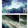 [12] Compaction and pore-collapse of chalky limestones from Mururoa atoll